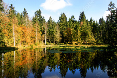 Waldsee im Herbst mit Spiegelung