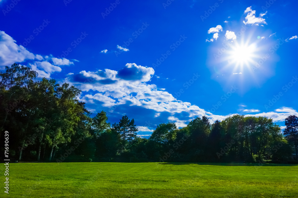 Obraz premium green field