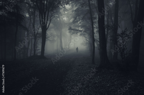 dark forest with spooky man walking on a path
