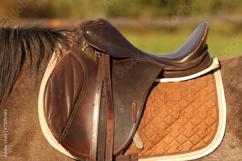 horse saddle