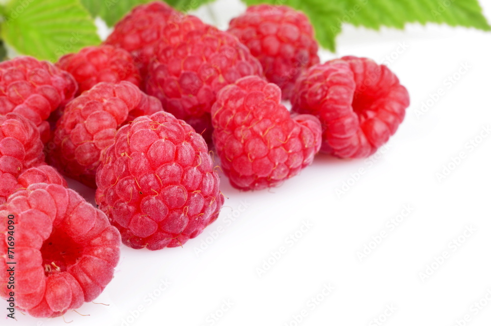 Many raspberries leaves corner template isolated white Many raspberries leaves corner template isolated white