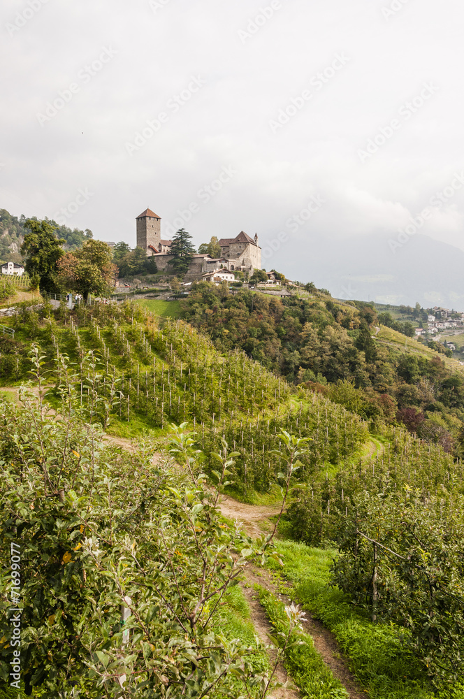 Dorf Tirol, Schloss Tirol, Vinschgau, Südtirol, Herbst, Italien
