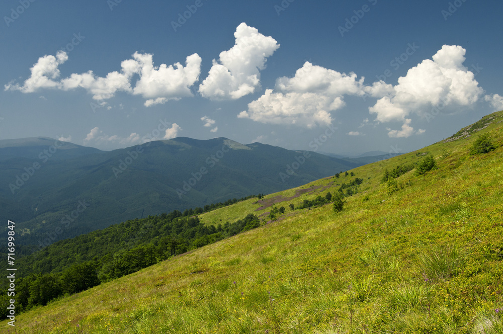 Summer in the mountains Summer in the mountains