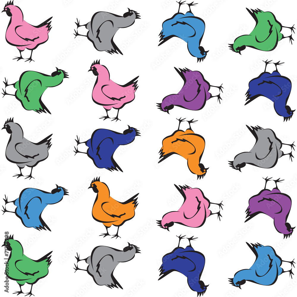 gallina gallina