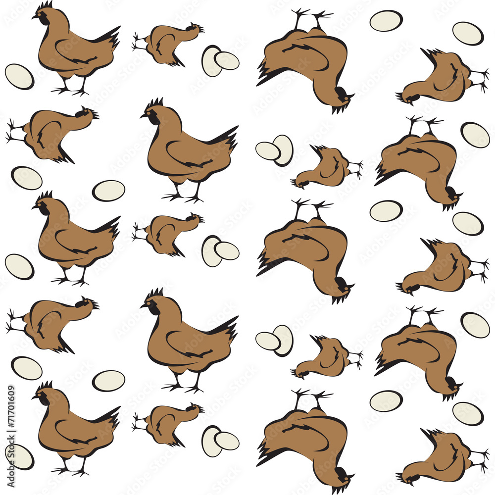 gallina gallina