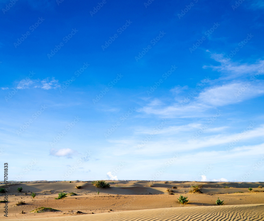 Obraz premium Desert landscape