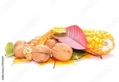 Autumn aranjament, colored leaves, wallnuts and corn photo