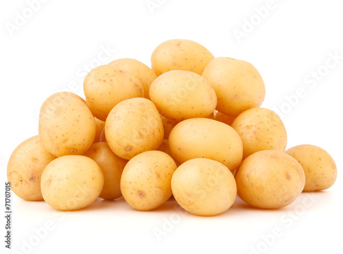 Картината върху платно new potato tuber isolated on white background cutout