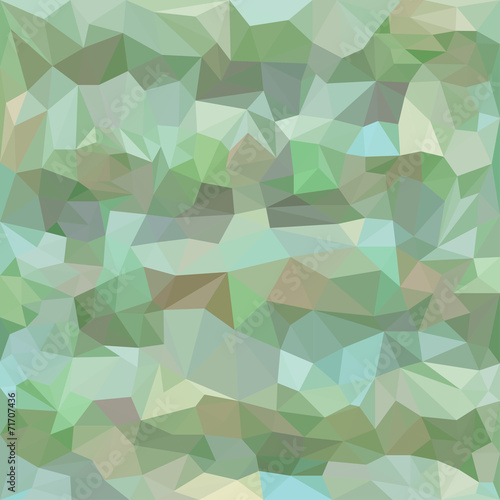 Abstract  vector triangular geometric background