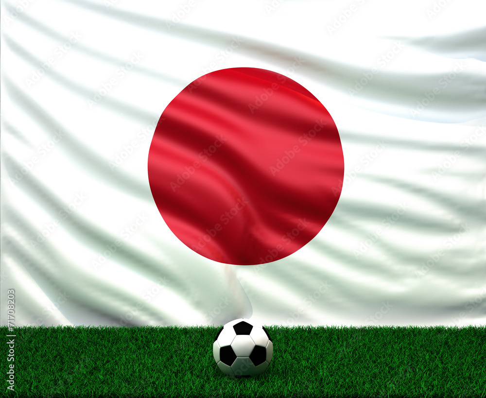 Fototapeta premium soccer ball with the flag of Japan
