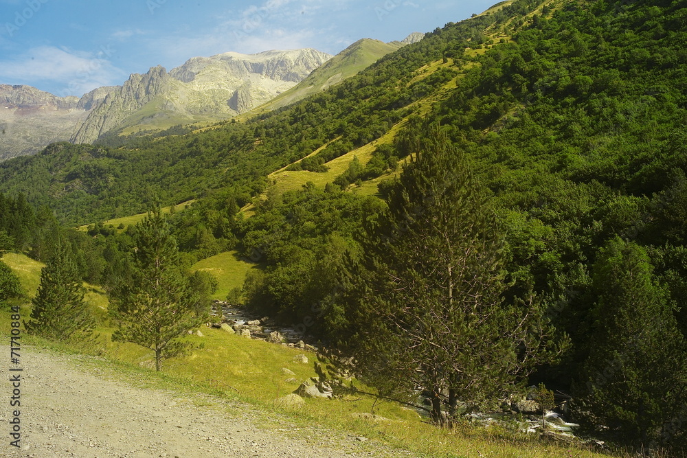 paisaje típico de los pirineos paisaje típico de los pirineos