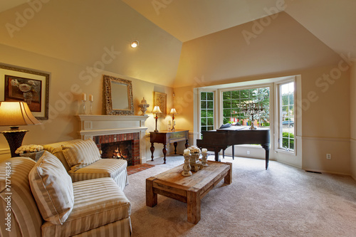Luxury family room with grand piano and fireplace