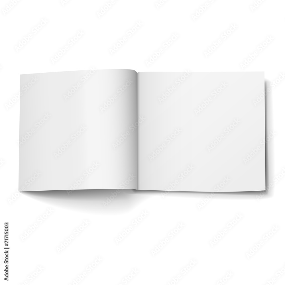 blank open magazine blank open magazine