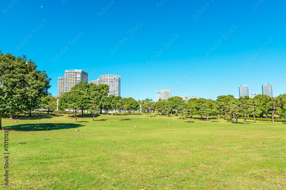 Landscape grass prospects the condominiums of landmark