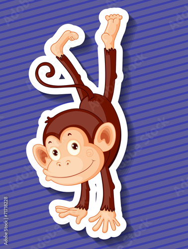 Monkey