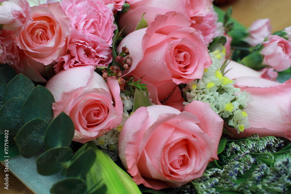 rose rose