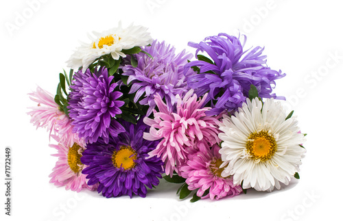 bouquet of asters