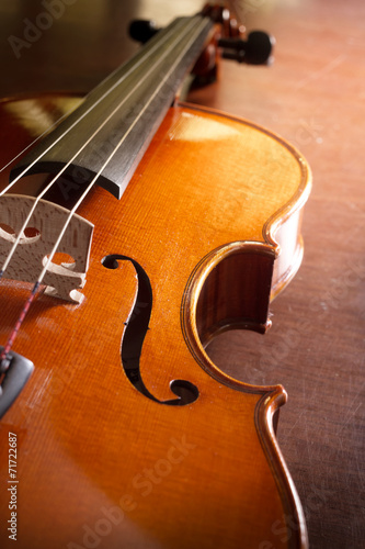 Wooden violin,music instrument.