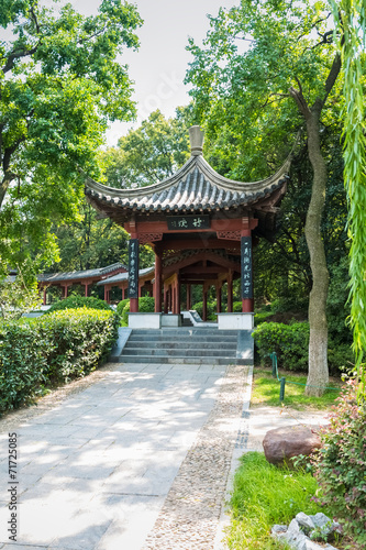 the pavilion in traditional chinese garden