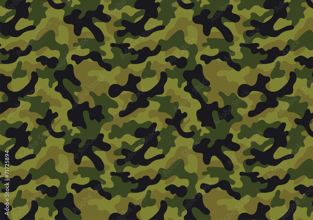 Camouflage seamless pattern Camouflage seamless pattern