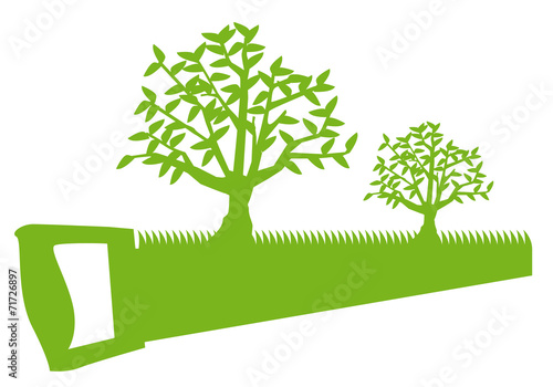 Scie Arbre