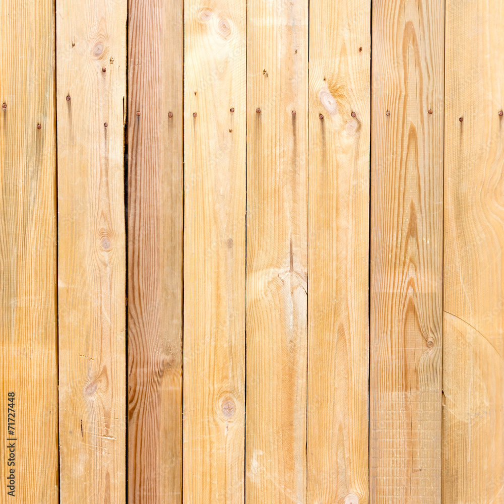 Fototapeta premium The natural wood texture with natural patterns