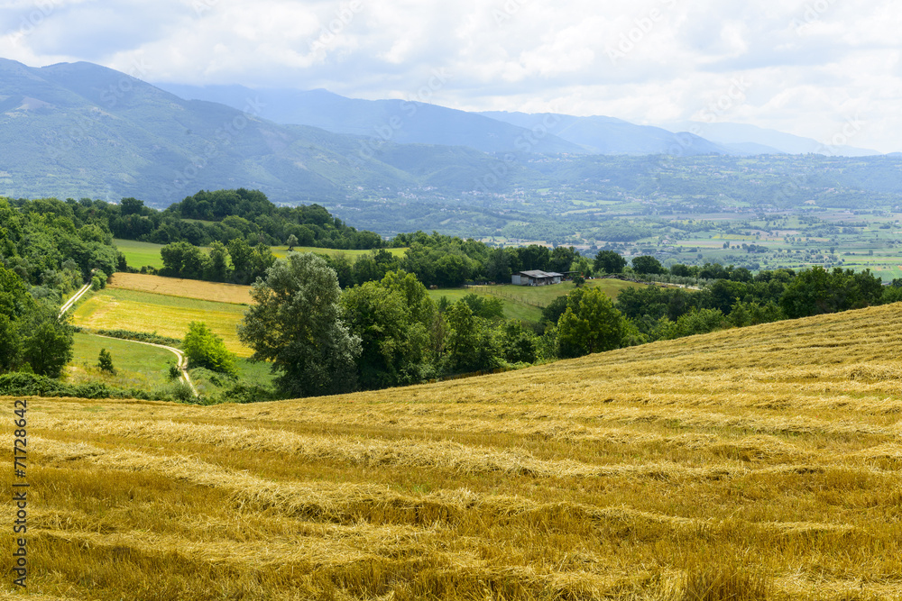 Country landscape in Lazio (Italy)