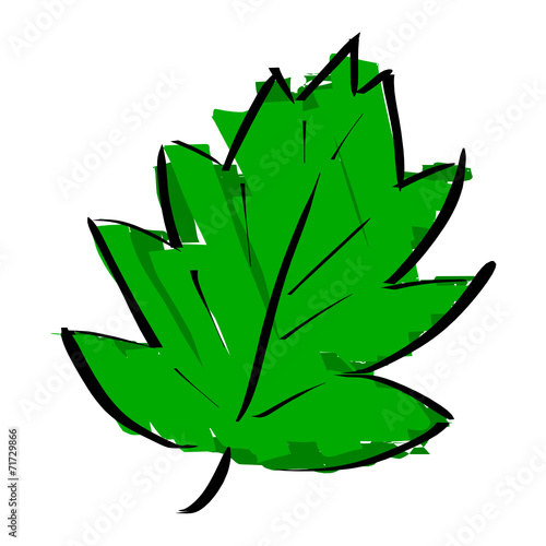 Foglia verde