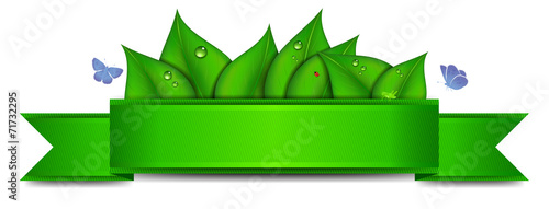 Green Banner with Copy Space