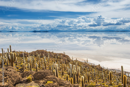 Incahuasi island, Salar de Uyuni, Bolivia