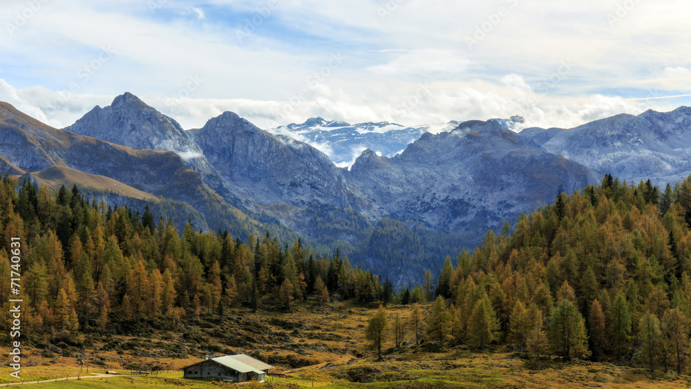 Mountain Pasture at the sea of Kings in Berchtesgaden Mountain Pasture at the sea of Kings in Berchtesgaden