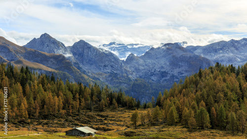 Mountain Pasture at the sea of Kings in Berchtesgaden © andiz275