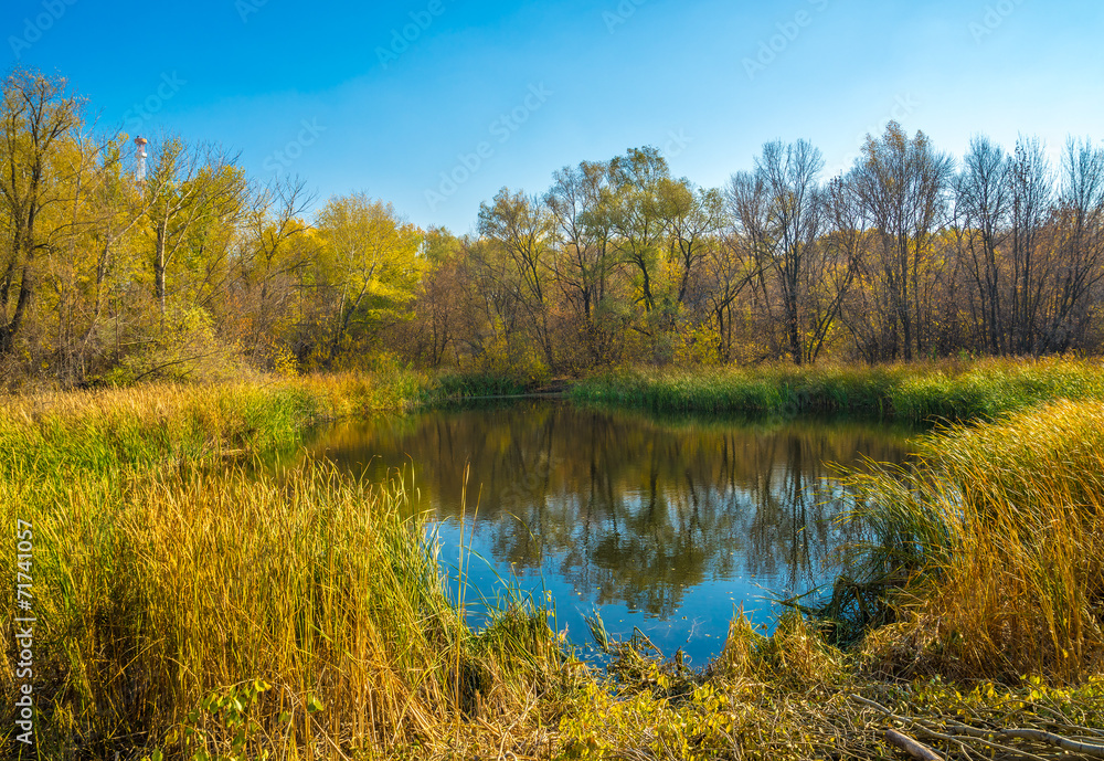Obraz premium Lake in an autumn forest.