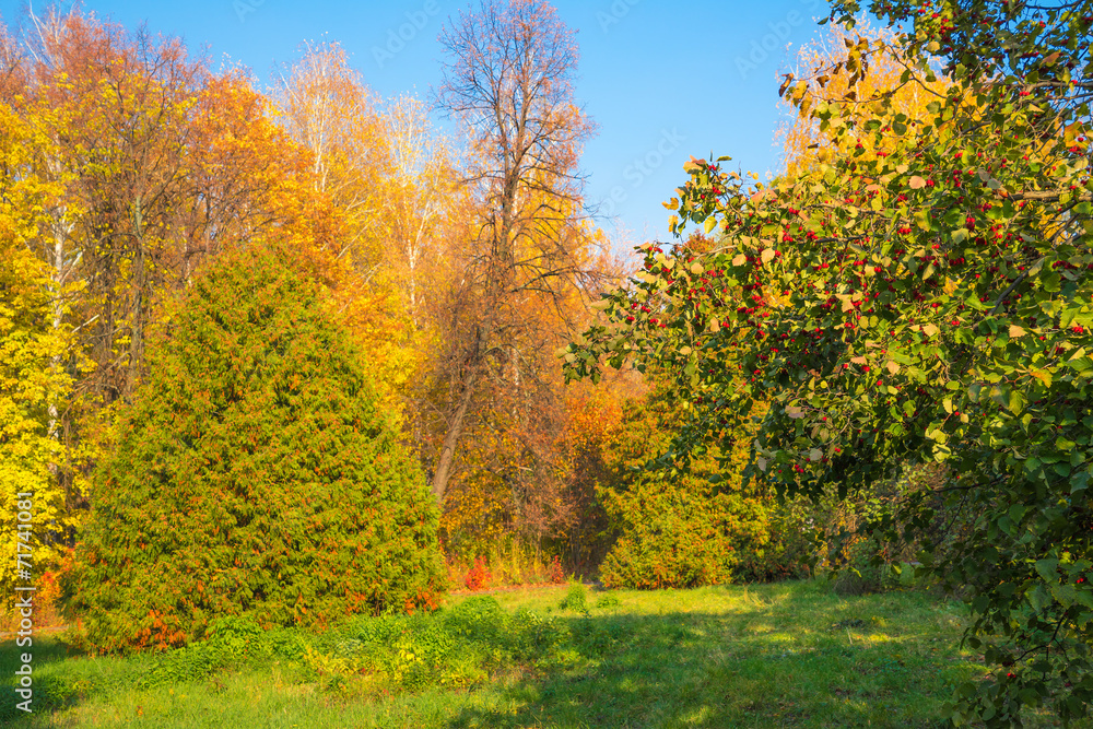 All colors of autumn. .