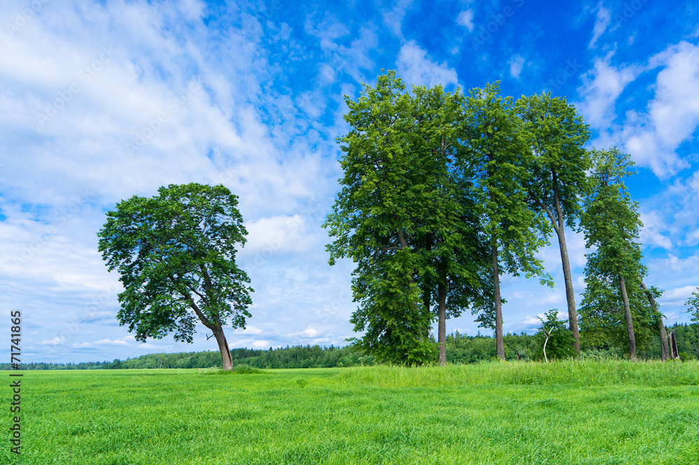 Fototapeta premium Calm Solitude Scenic View