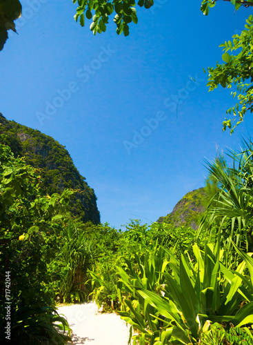 Sunny Landscape Paradise Scene