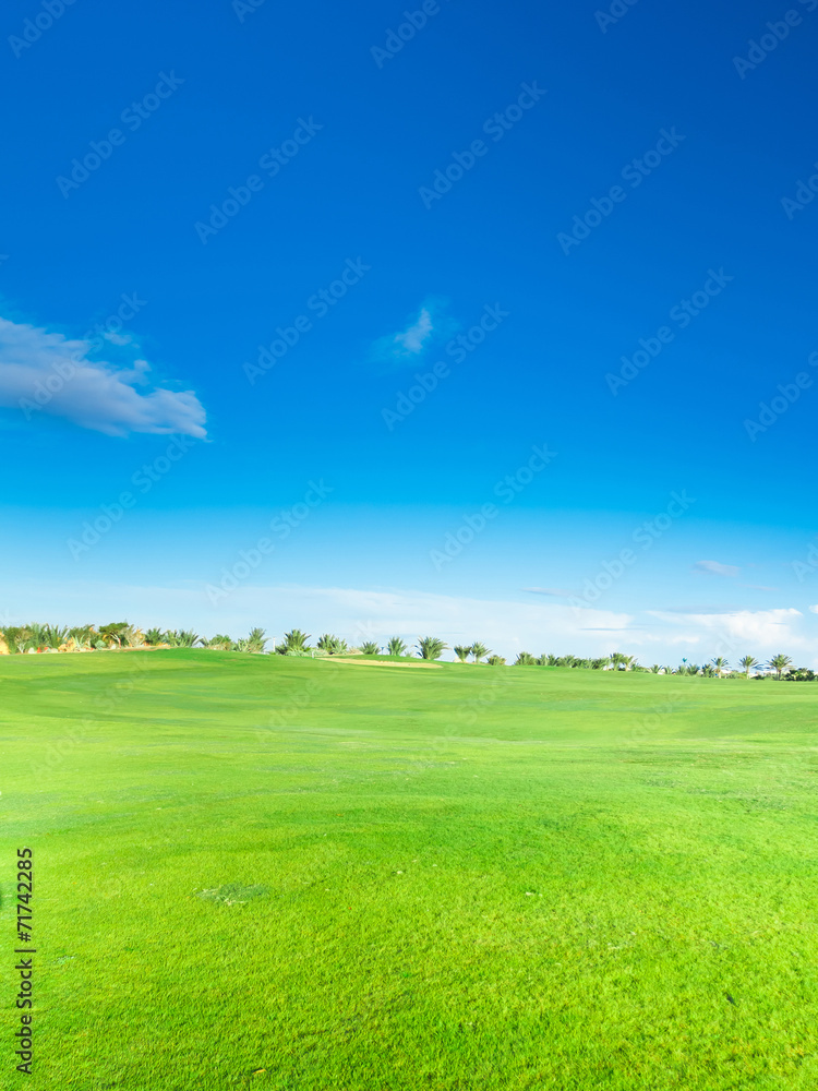 Lonesome Acres Of Green