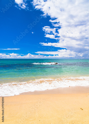 Shore Landscape On a Beach