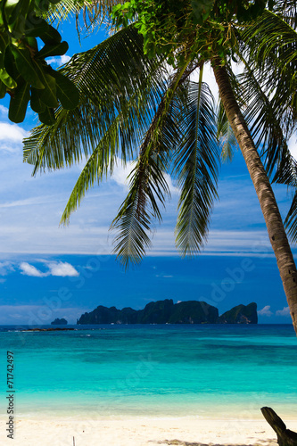 Fototapeta Naklejka Na Ścianę i Meble -  Coconut Getaway Exotic Paradise