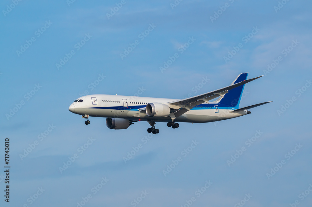 Obraz premium Boeing 787-8