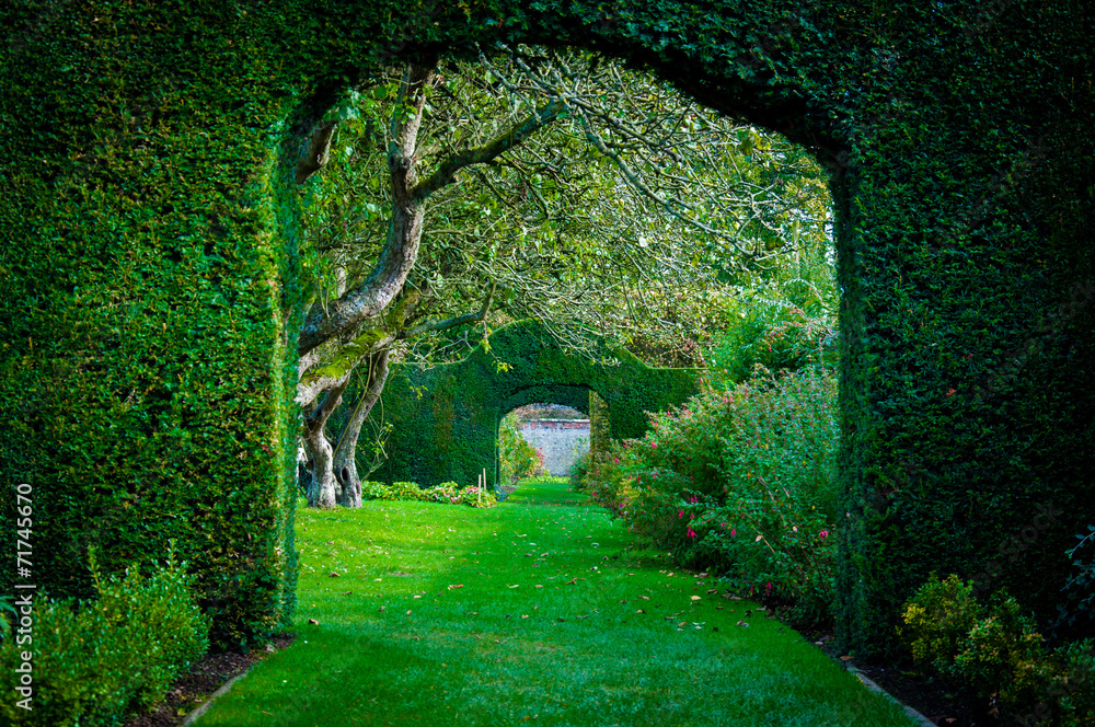 Obraz premium Łuki zielonej rośliny w angielskim ogrodzie wiejskim