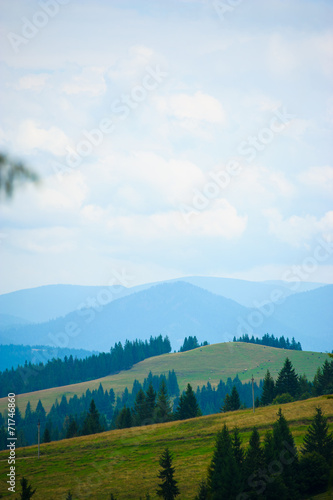 summer in the mountains. Carpathian, Ukraine, Europe. © The Len