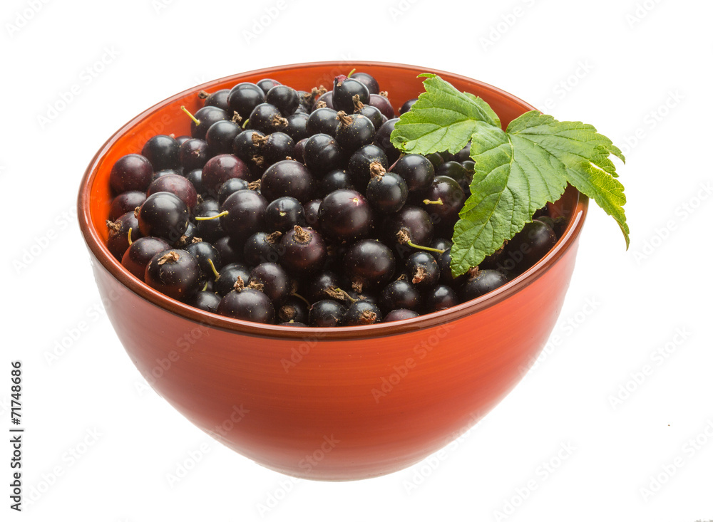 Black currant Black currant
