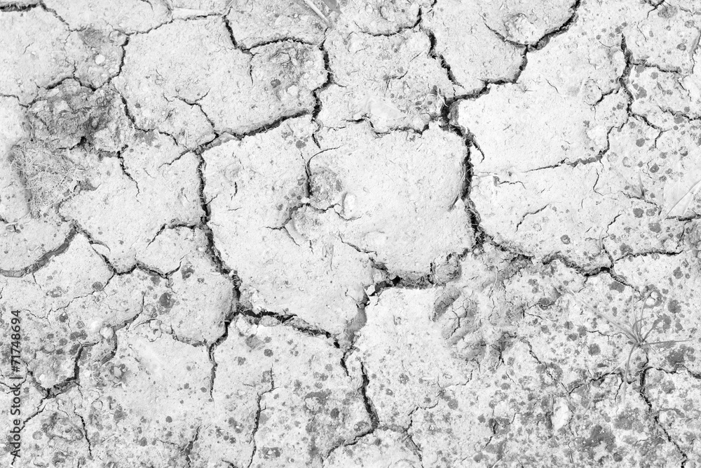 Cracked earth Cracked earth