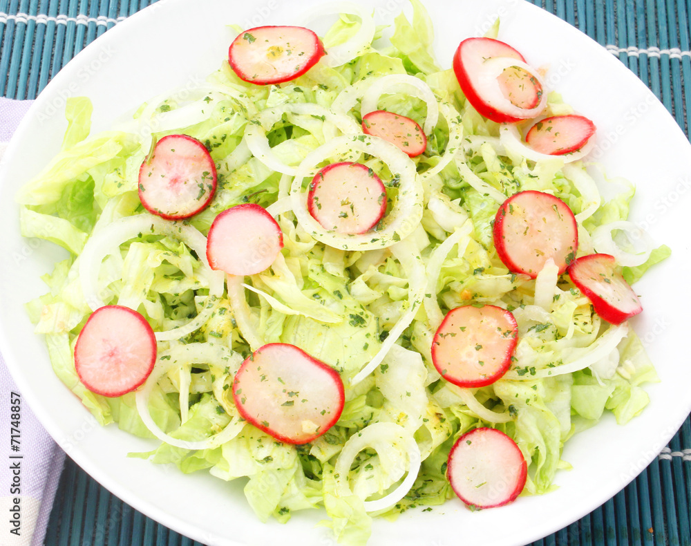 frischer Salat frischer Salat