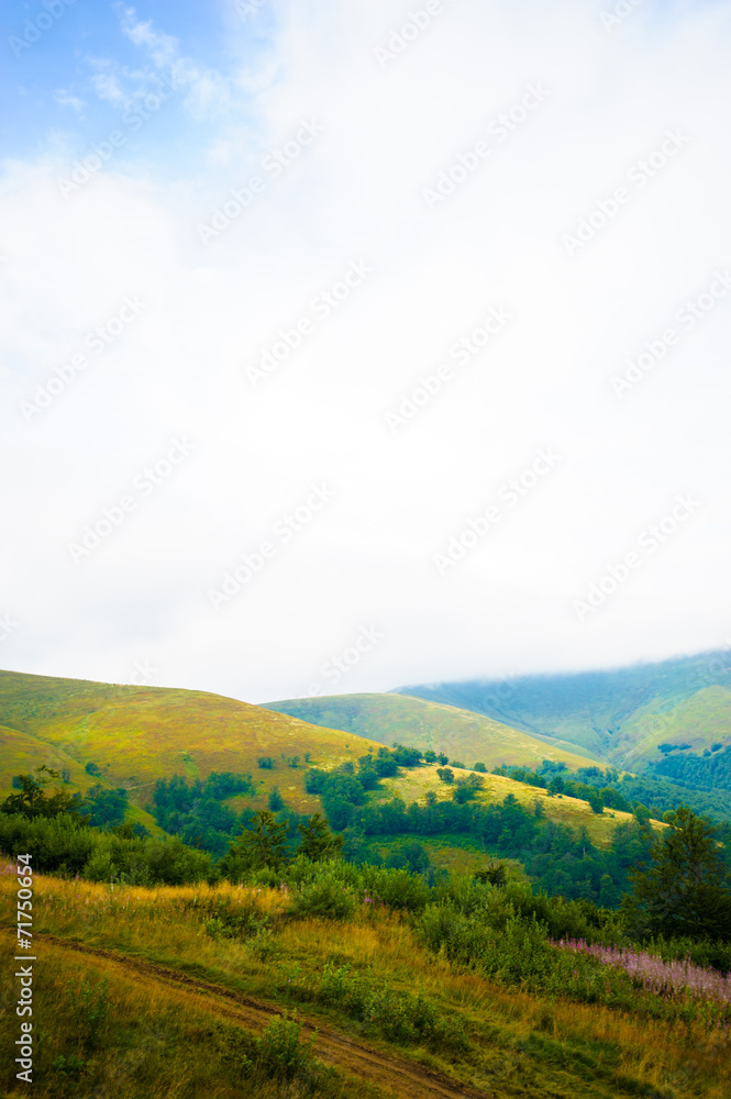 summer in the mountains. Carpathian, Ukraine, Europe.