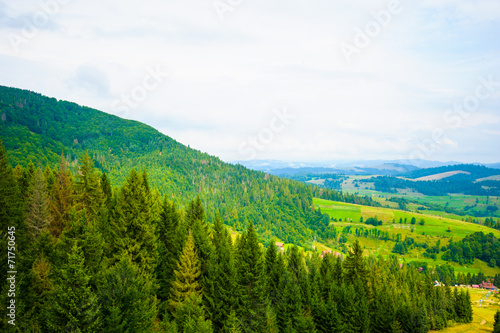 summer in the mountains. Carpathian, Ukraine, Europe.