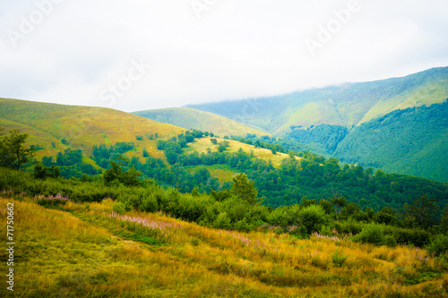 summer in the mountains. Carpathian, Ukraine, Europe.