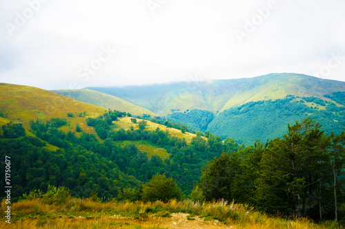 summer in the mountains. Carpathian  Ukraine  Europe.