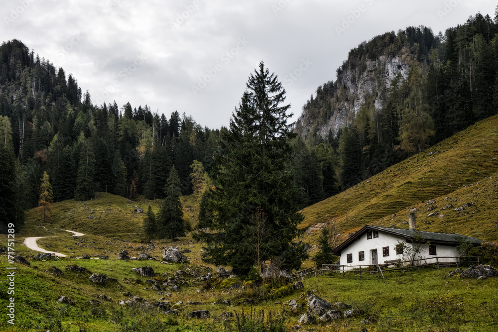 Mountain Pasture at the sea of Kings in Berchtesgaden